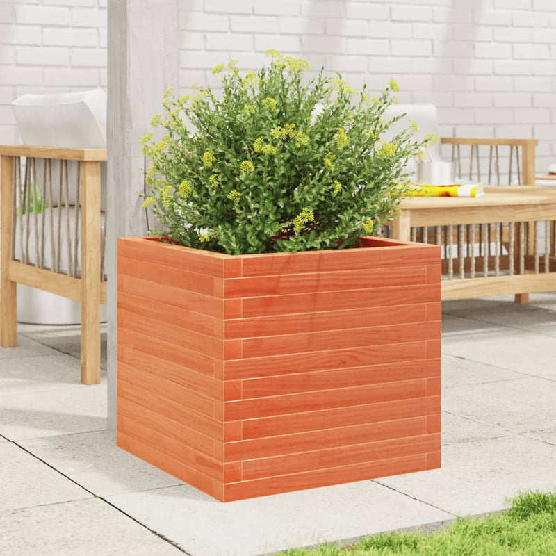 Load image into Gallery viewer, Vidaxl plantenbak 50x50x45,5 cm massief grenenhout wasbruin