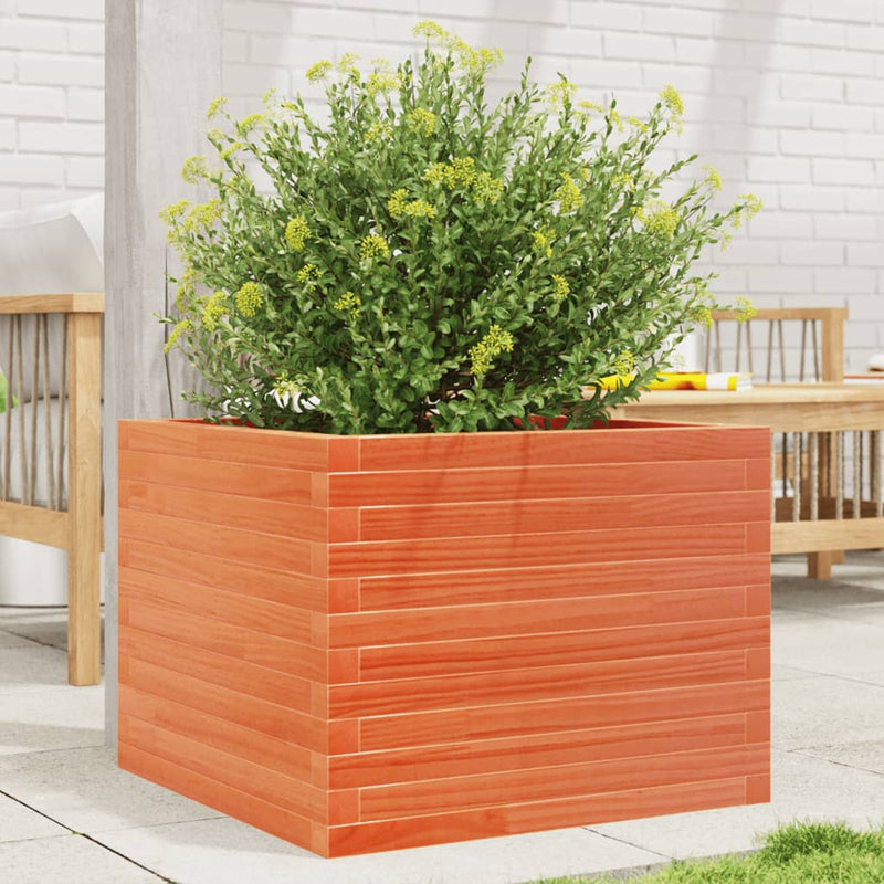 Load image into Gallery viewer, Vidaxl plantenbak 60x60x45,5 cm massief grenenhout wasbruin