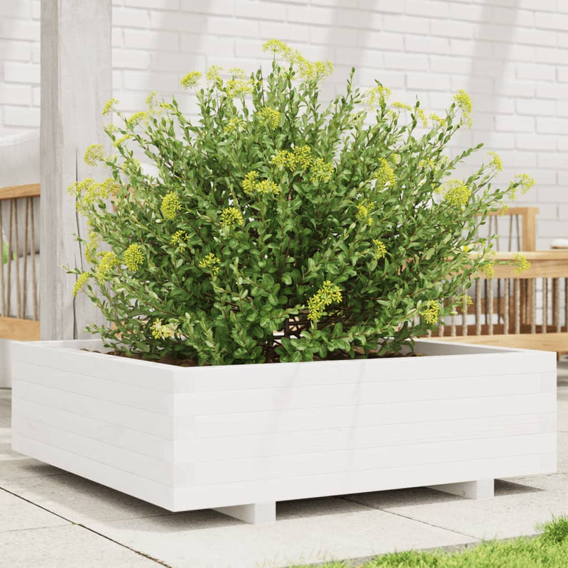 Load image into Gallery viewer, Vidaxl plantenbak 80x80x26,5 cm massief grenenhout wit