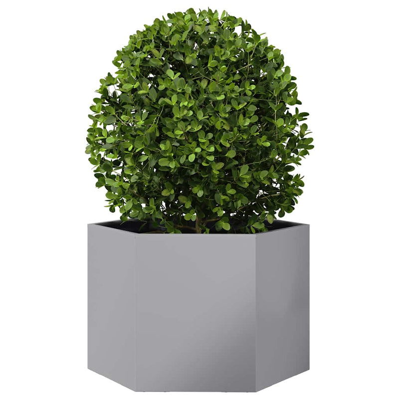 Load image into Gallery viewer, Vidaxl plantenbak zeshoek 69x60x45 cm gegalvaniseerd staal