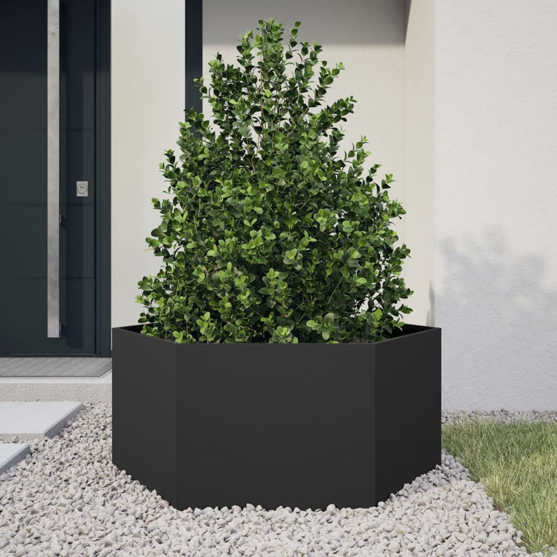 Load image into Gallery viewer, Vidaxl plantenbak zeshoek 104x90x45 cm staal zwart