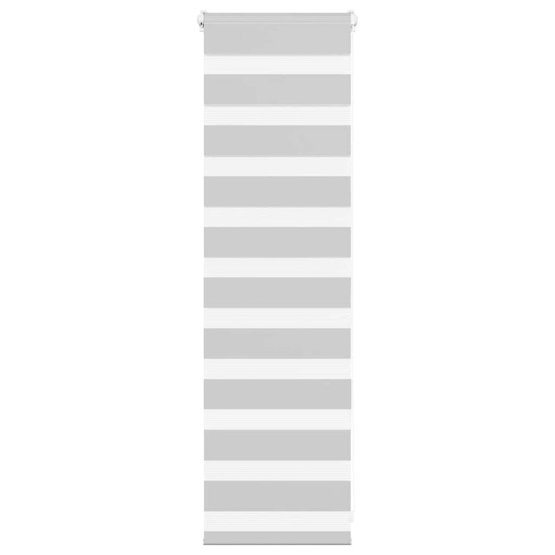 Load image into Gallery viewer, Vidaxl zebra rolgordijn 45x100 cm stofbreedte 40,9 cm lichtgrijs