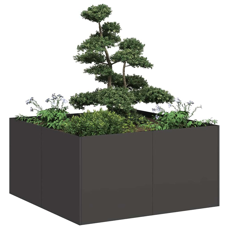 Chargez l'image dans la visionneuse de la galerie, Vidaxl plantenbak 80x80x40 cm koudgewalst staal zwart
