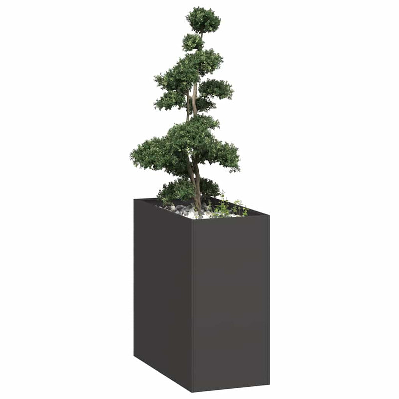 Afbeelding laden in galerijviewer, Vidaxl plantenbak 40x80x80 cm staal zwart