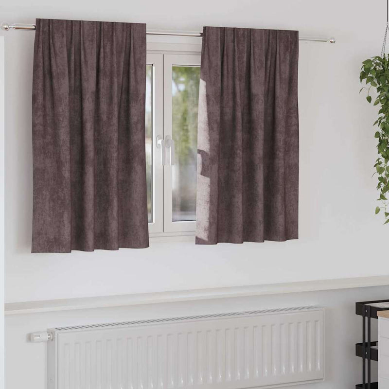 Chargez l'image dans la visionneuse de la galerie, Vidaxl velvet gordijnen met gordijnen 2 pcs bruin 140 x 140 cm fluweel