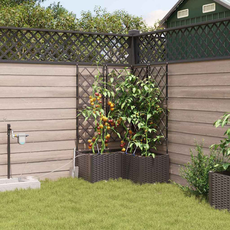 Chargez l'image dans la visionneuse de la galerie, Vidaxl tuin bloempot 3 pcs bruin staal