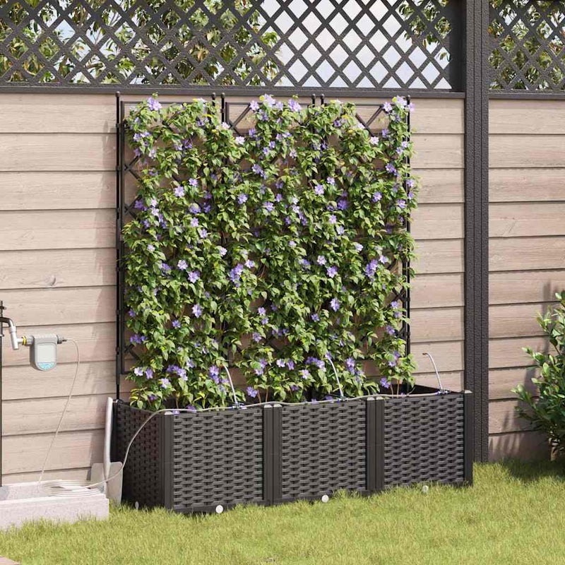 Chargez l'image dans la visionneuse de la galerie, Vidaxl tuin bloempot 3 pcs zwart staal