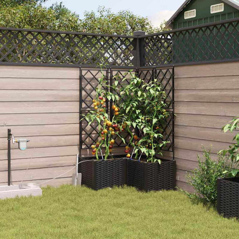 Chargez l'image dans la visionneuse de la galerie, Vidaxl tuin bloempot 3 pcs zwart staal