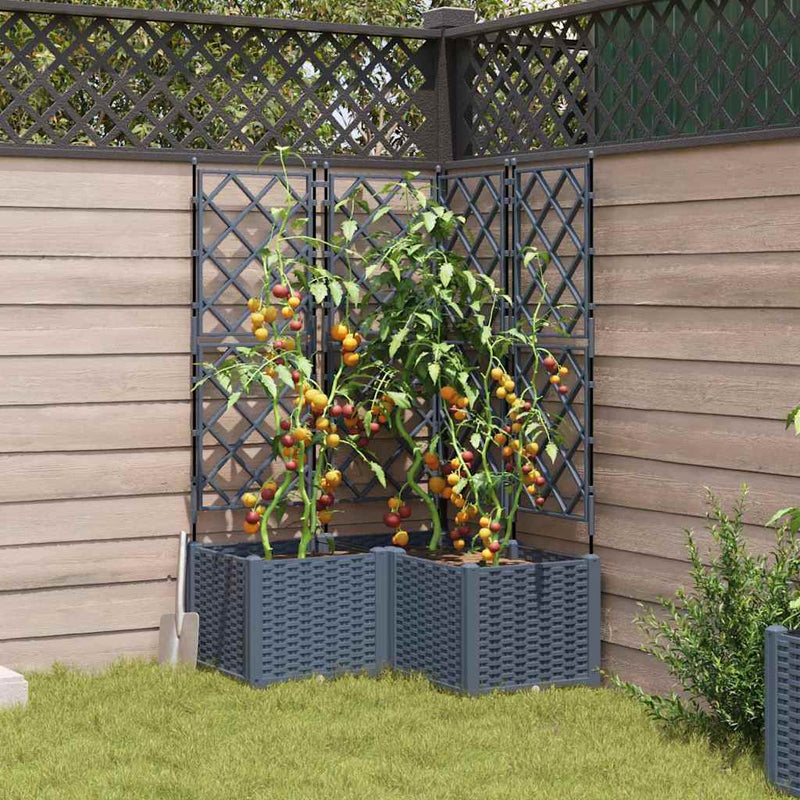 Afbeelding laden in galerijviewer, Vidaxl tuin bloempot 3 pcs licht grijs 80 x 80 x 143 cm staal