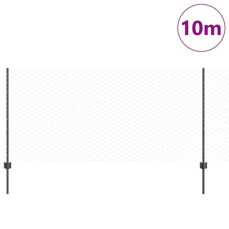 Chargez l'image dans la visionneuse de la galerie, Vidaxl hek met paal grijs 1 x 10 m staal en pvc