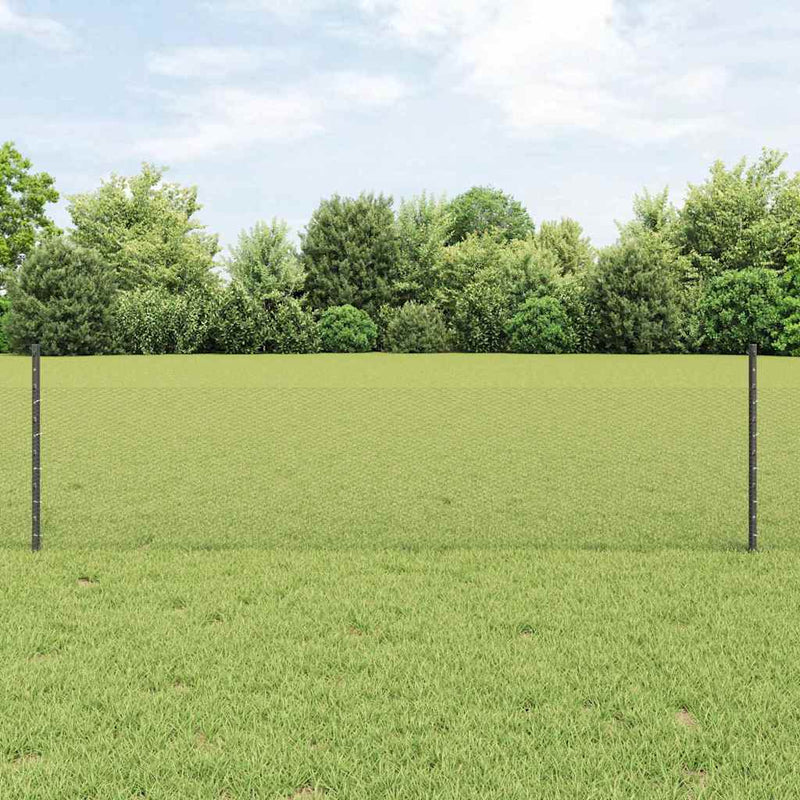 Chargez l'image dans la visionneuse de la galerie, Vidaxl hek met paal grijs 0,5 x 25 m staal