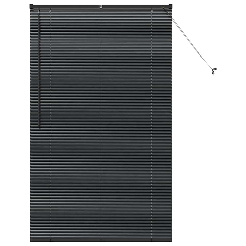 Chargez l'image dans la visionneuse de la galerie, Vidaxl venetiaanse jaloezieën zwart 175 x 105 cm aluminium