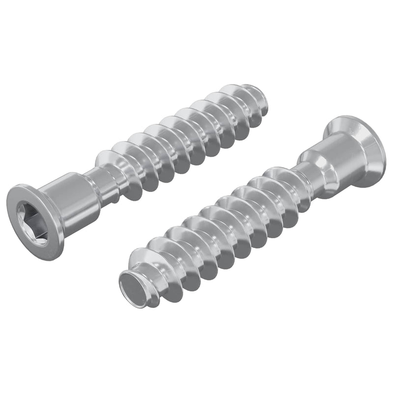 Afbeelding laden in galerijviewer, Vidaxl hoofdkapbout 2 pcs zilver m7 x 40 mm staal