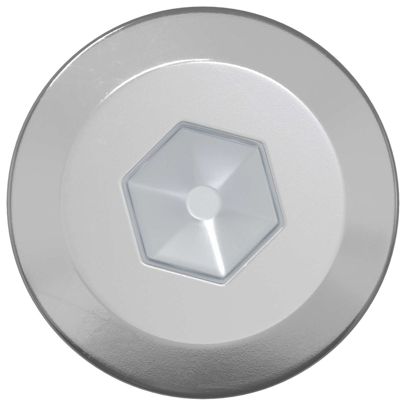 Chargez l'image dans la visionneuse de la galerie, Vidaxl houten schroeven 12 pcs zilver m6 x 70 mm staal