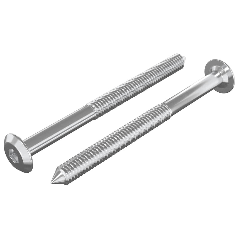 Chargez l'image dans la visionneuse de la galerie, Vidaxl meubelschroeven 2 pcs zilver m6 x 70 mm staal