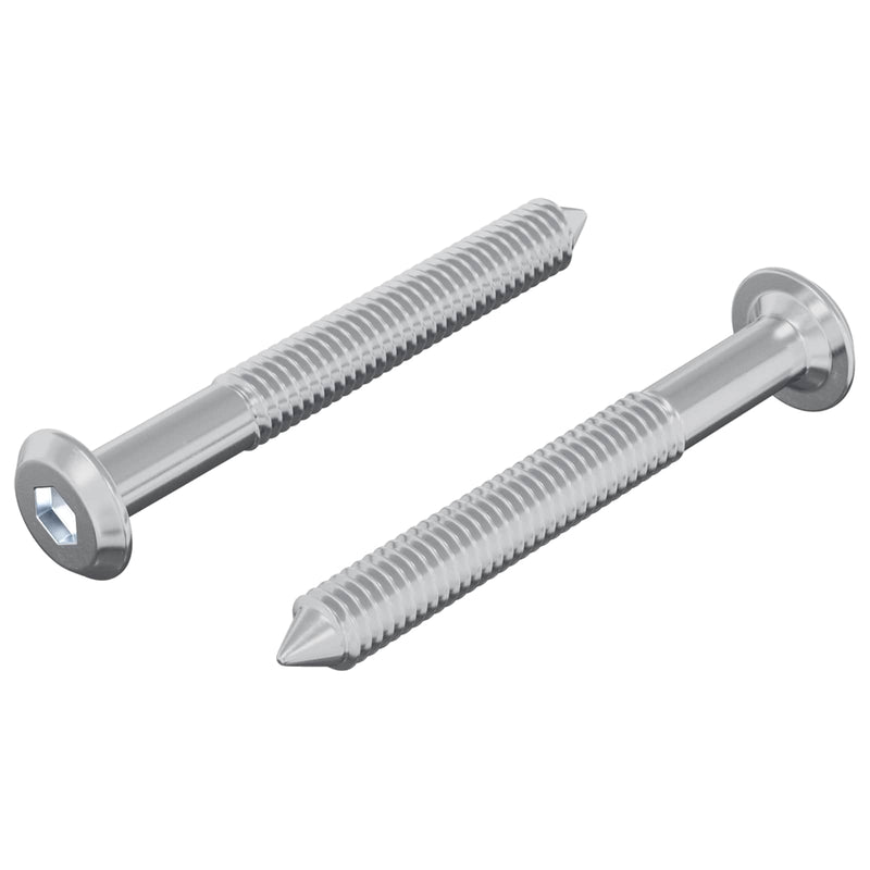 Chargez l'image dans la visionneuse de la galerie, Vidaxl bout 2 pcs zilver m6 x 50 mm staal