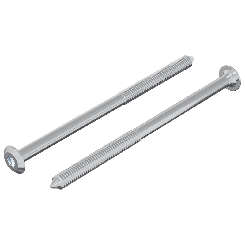 Chargez l'image dans la visionneuse de la galerie, Vidaxl bout 2 pcs zilver m6 x 100 mm staal