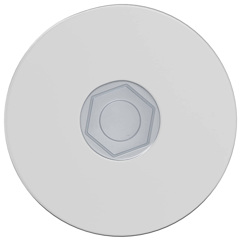 Chargez l'image dans la visionneuse de la galerie, Vidaxl bout 2 pcs verzinkt 5 x 40 mm ijzer