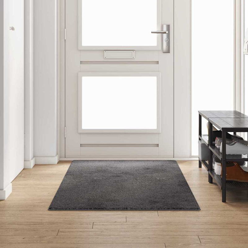 Afbeelding laden in galerijviewer, Vidaxl tapijt loper grijs 100 x 250 cm 100% polypropylene tuft