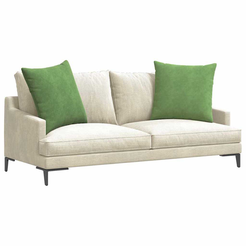 Chargez l'image dans la visionneuse de la galerie, Vidaxl sofa kussens 2 stuks lichtgroen 60 x 60 cm cordstof