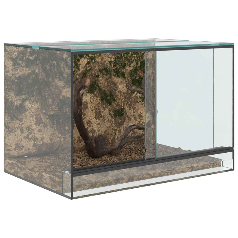 Chargez l'image dans la visionneuse de la galerie, Vidaxl terrarium met opslag doorzichtig 60 x 40 x 40 cm glas