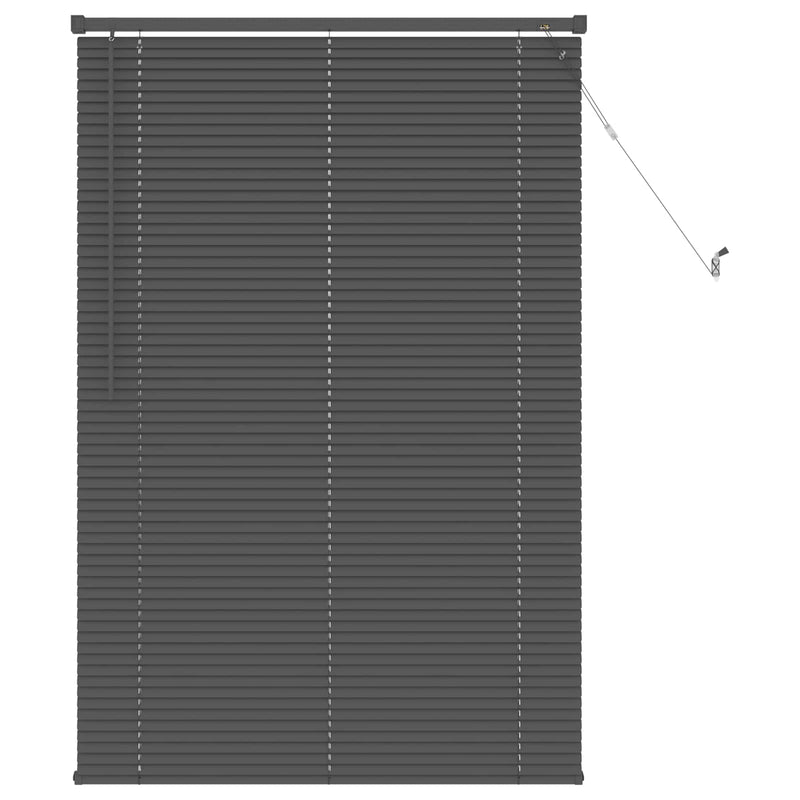 Chargez l'image dans la visionneuse de la galerie, Vidaxl venetiaanse blind verstelbaar zilvergrijs 150 x 100 cm pvc