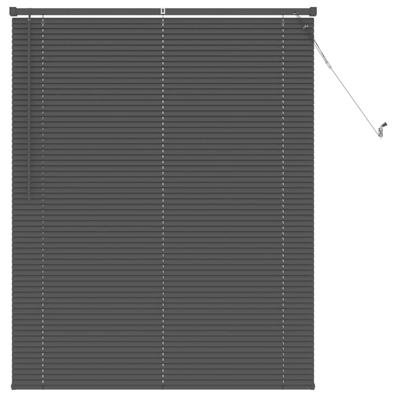 Chargez l'image dans la visionneuse de la galerie, Vidaxl venetiaanse blind verstelbaar zilvergrijs 150 x 120 cm pvc