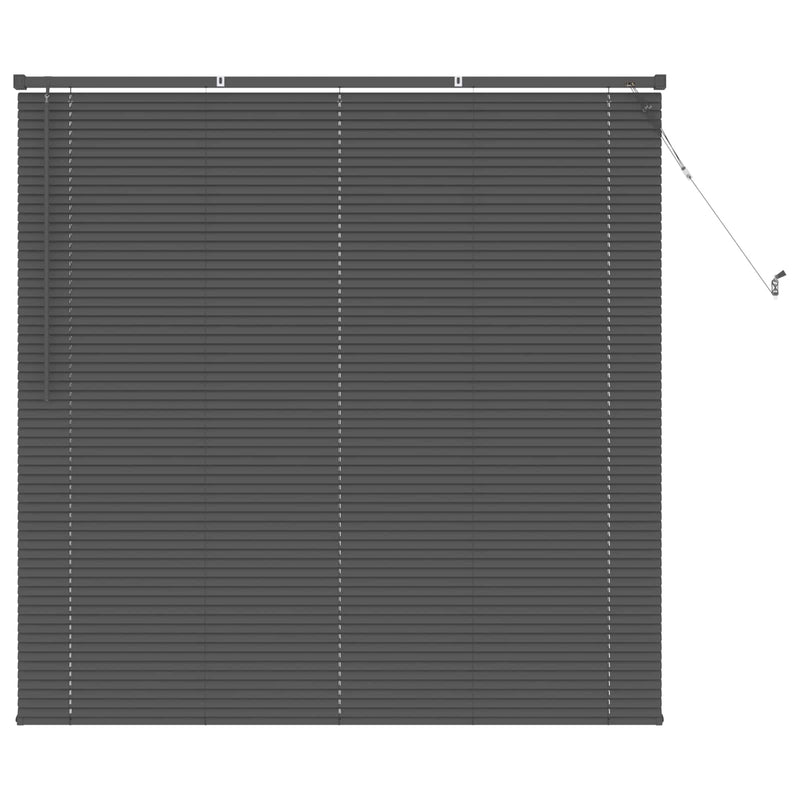 Chargez l'image dans la visionneuse de la galerie, Vidaxl venetiaanse blind verstelbaar zilvergrijs 150 x 130 cm pvc
