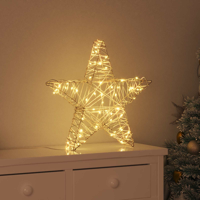 Chargez l'image dans la visionneuse de la galerie, Vidaxl 3d ster met 50 led warmwit 55 x 52.5 x 9 cm rattan