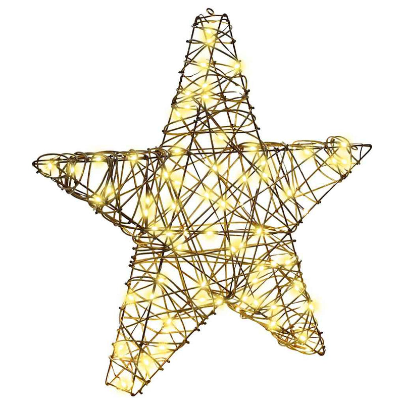 Chargez l'image dans la visionneuse de la galerie, Vidaxl 3d ster met 50 led warmwit 55 x 52.5 x 9 cm rattan
