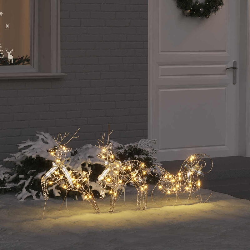 Chargez l'image dans la visionneuse de la galerie, Vidaxl led rendieren met 60 led 3 pcs warmwit pet