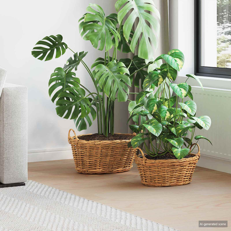 Afbeelding laden in galerijviewer, Vidaxl plantenmand met opslag 2 pcs bruin lacak riet