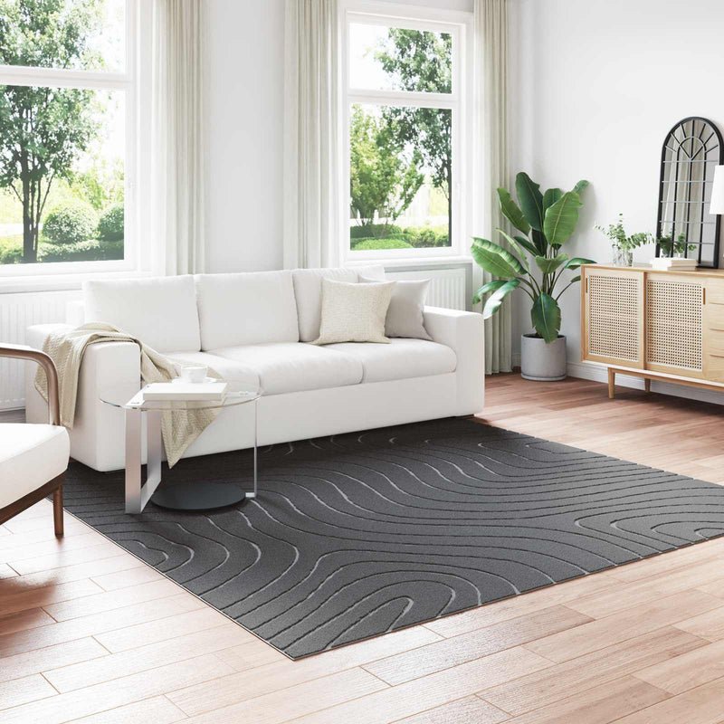 Chargez l'image dans la visionneuse de la galerie, Vidaxl vloerkleden vierkant huarte antraciet 240 x 240 cm polyester