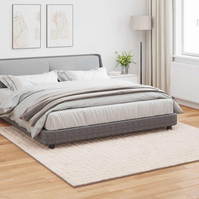 Afbeelding laden in galerijviewer, Vidaxl vloerkleden vierkant huarte beige 240 x 240 cm polyester