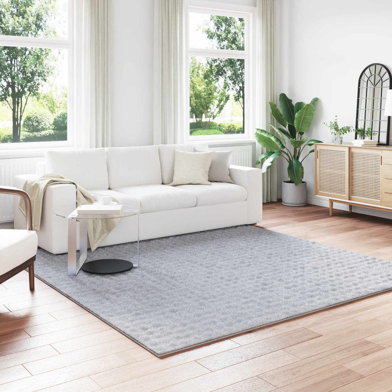 Afbeelding laden in galerijviewer, Vidaxl vloerkleden vierkant huarte grijs 240 x 240 cm polyester