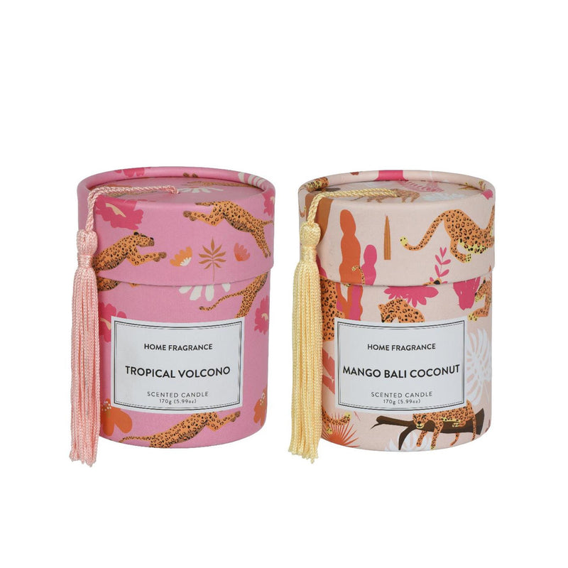 Afbeelding laden in galerijviewer, Decoris geurkaars in doos ã˜8,5xh10,5cm 2 assorti
