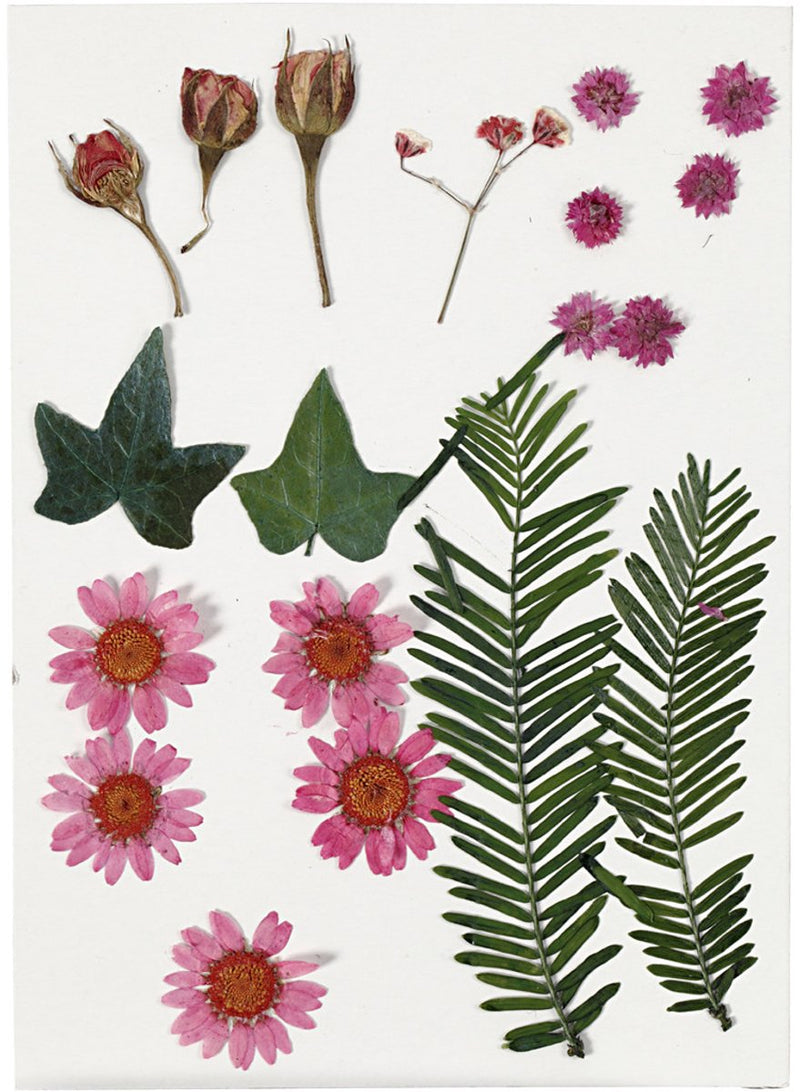 Laden Sie das Bild in Galerie -Viewer, Creativ company gedroogde bloemen en bladeren lichtrood, 19dlg.