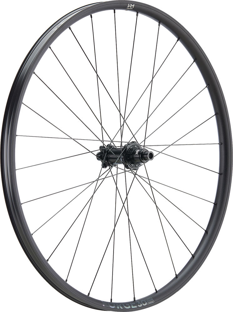 Chargez l'image dans la visionneuse de la galerie, Newmen forge 30 light xc 29 6-bolt 12x148 fade rear wheel