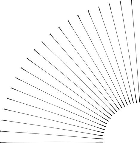 Cargue la imagen en el visor de la galería, Sapim cx-ray straight pull spokes + nipples - 20-pack