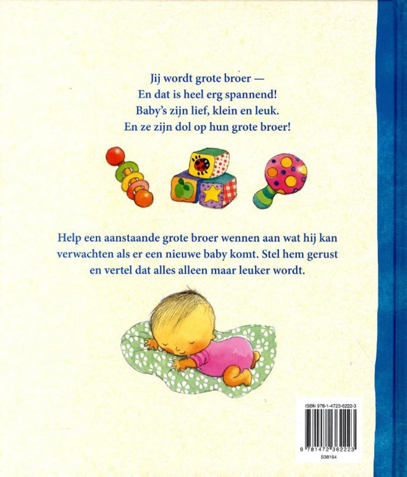 ギャラリービューアに画像をロードする, Rebo publishers ik ben je grote broer. 3+