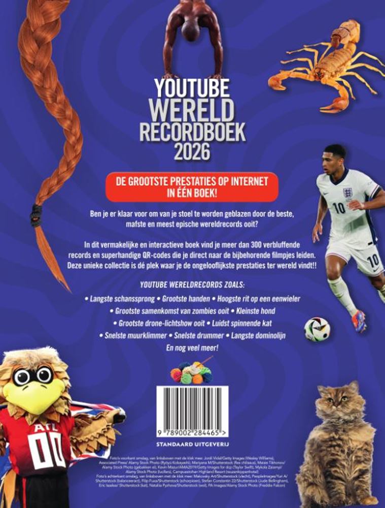 Afbeelding laden in galerijviewer, Youtube wereldrecordboek 2026 6+