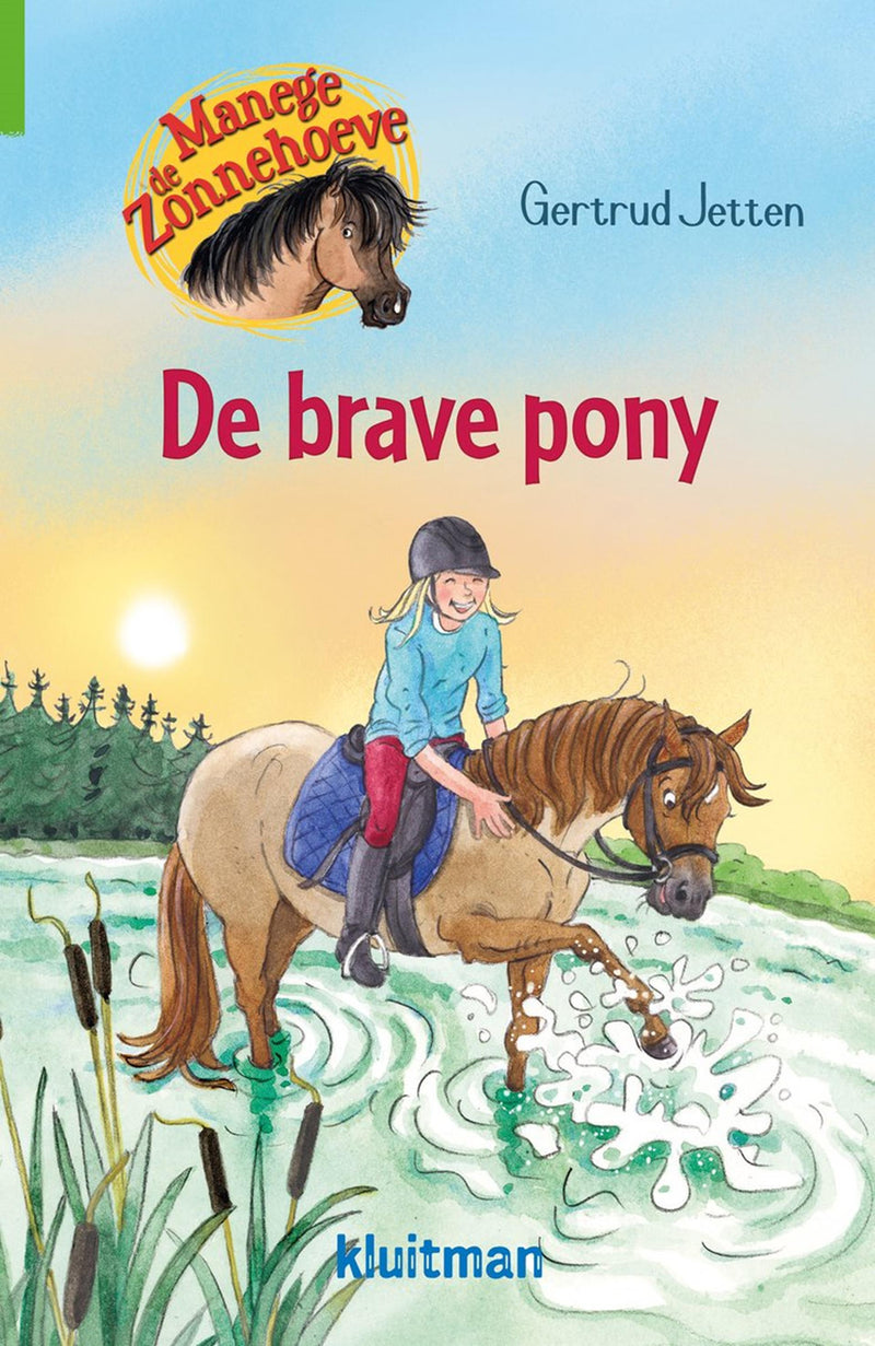 Load image into Gallery viewer, Kluitman manege de zonnehoeve. de brave pony