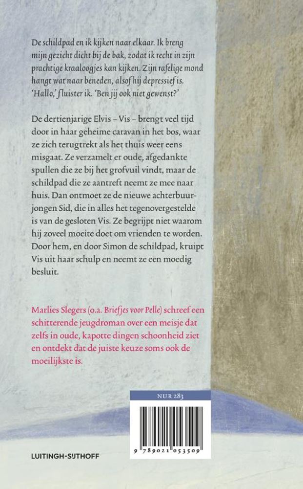 Afbeelding laden in galerijviewer, Schildpadmeisje. 10+