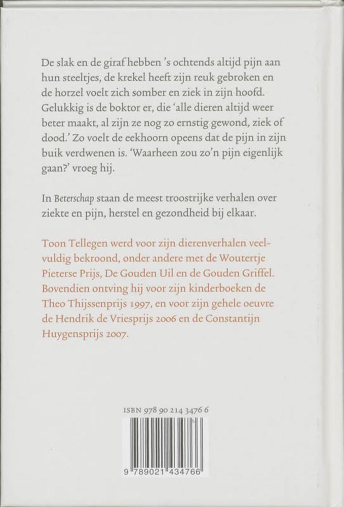 Afbeelding laden in galerijviewer, Toon tellegen: beterschap. cadeauboekje.