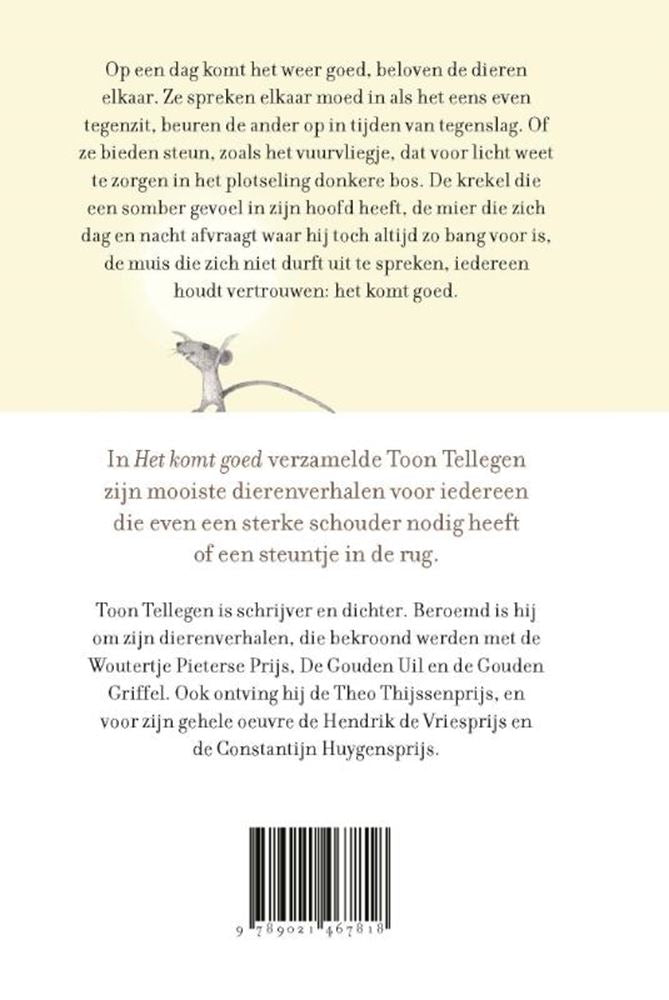 Chargez l'image dans la visionneuse de la galerie, Toon tellegen: het komt goed. cadeauboek