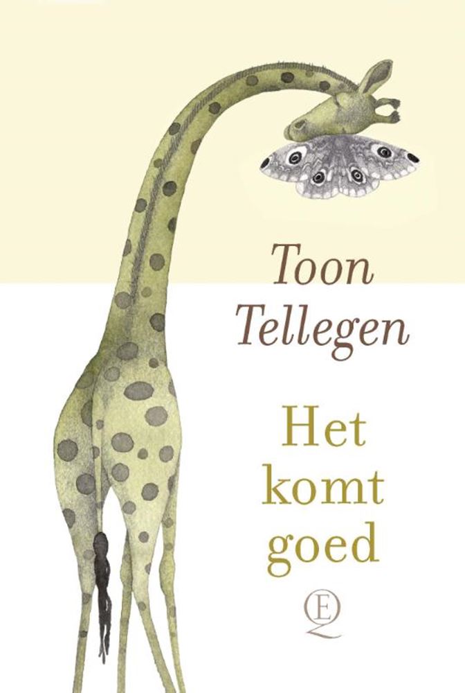 Chargez l'image dans la visionneuse de la galerie, Toon tellegen: het komt goed. cadeauboek