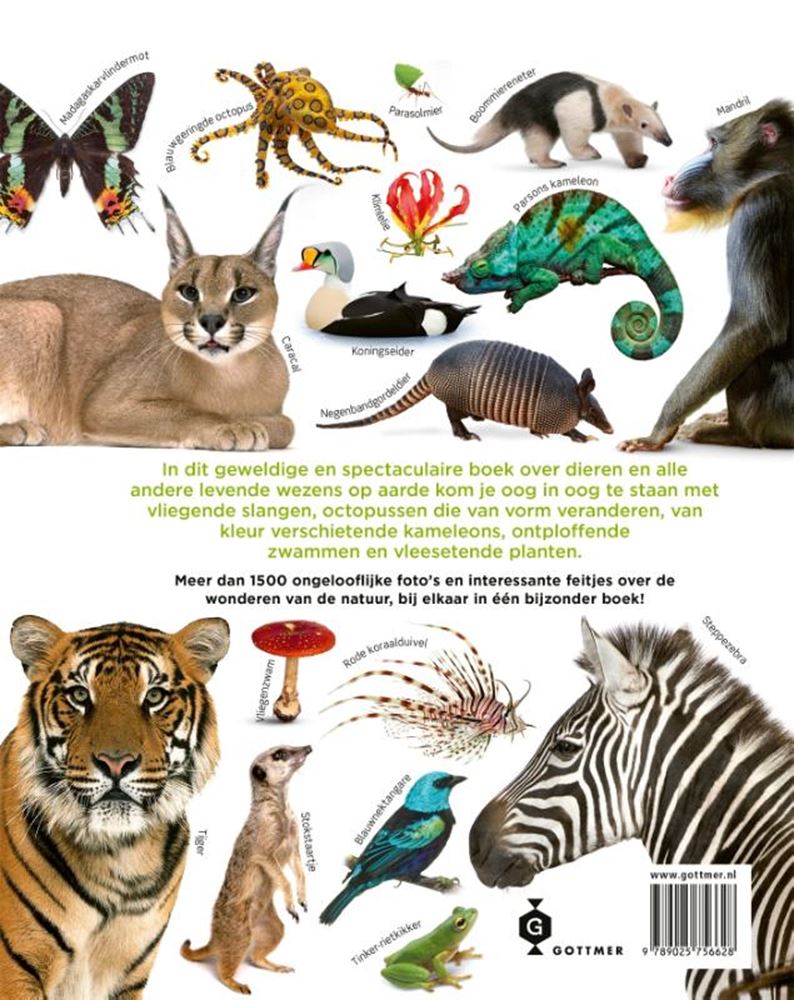 ギャラリービューアに画像をロードする, Het dierenboek. 8+