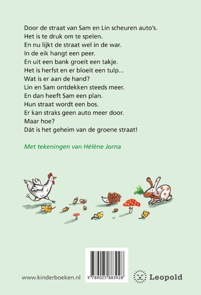 Afbeelding laden in galerijviewer, Wpg uitgevers het geheim van de groene straat avi e3