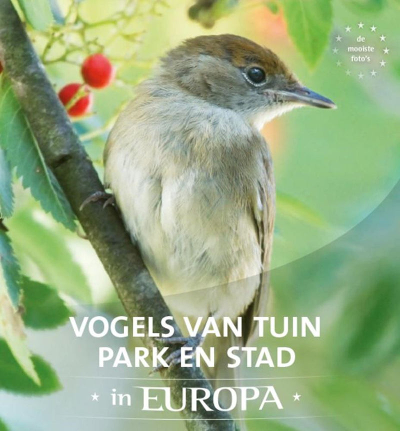 Afbeelding laden in galerijviewer, Vogels van tuin, park en stad in europa