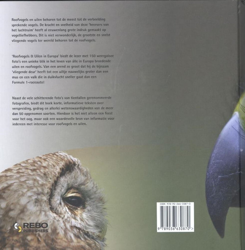 Chargez l'image dans la visionneuse de la galerie, Roofvogels uilen in europa volwassene
